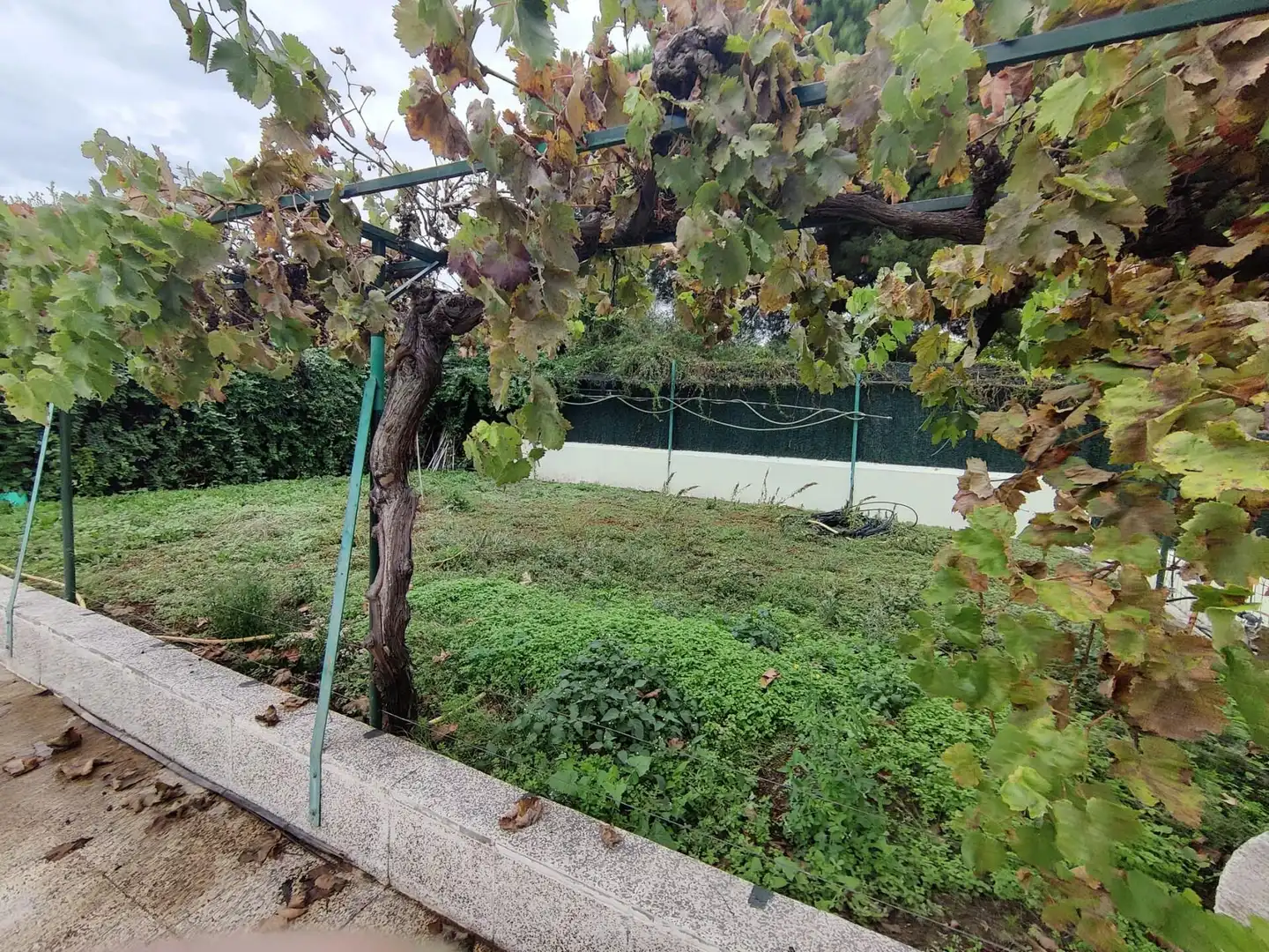 Villa avec piscine à vendre à El Molar (Madrid), imagen 32