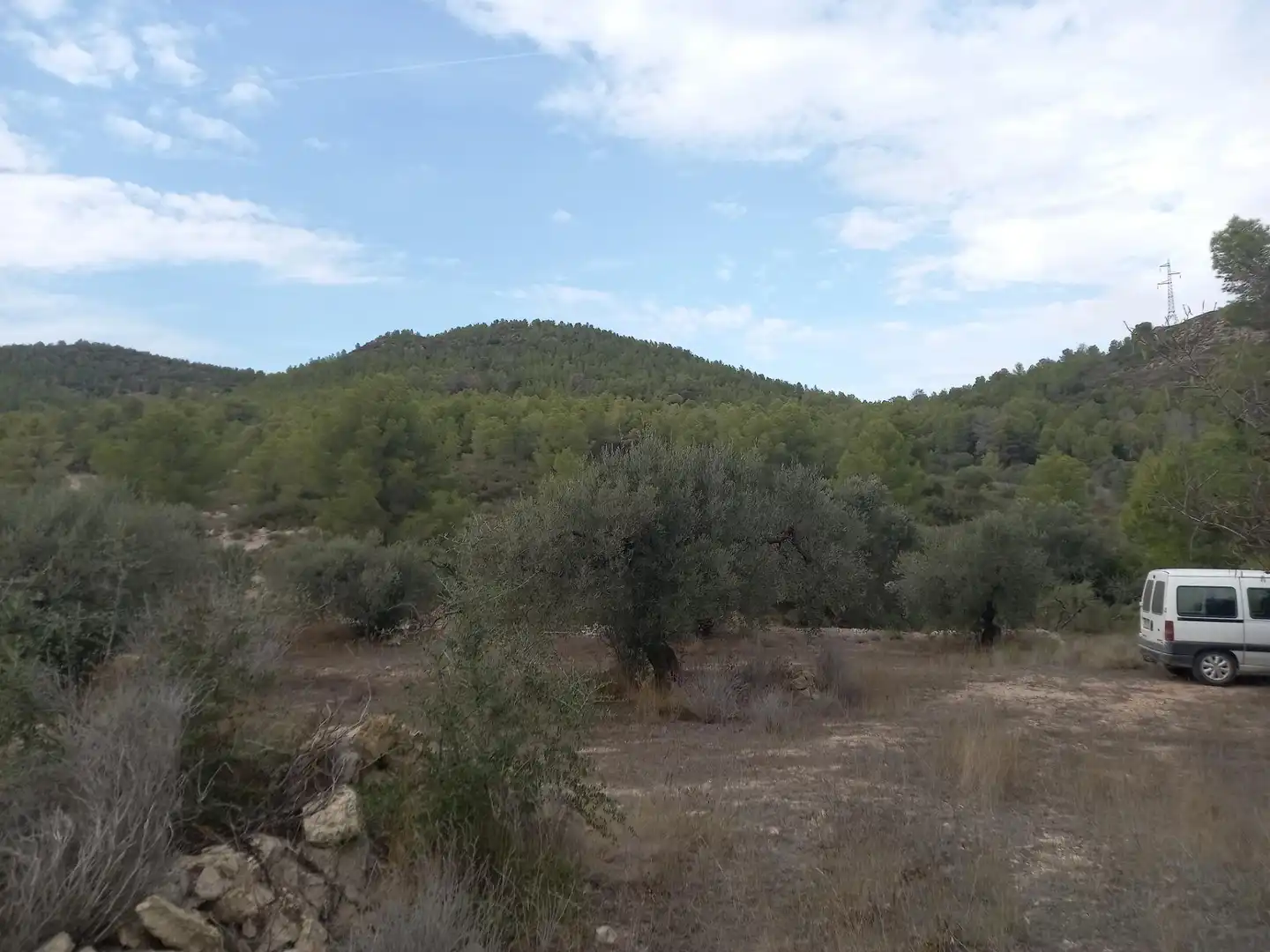 Rural land for sale in Benissanet, imagen 6