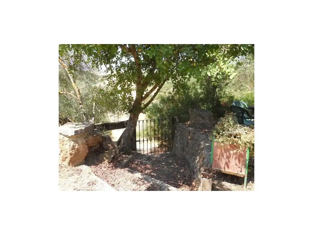 Jardí de Casa o xalet en venda en Puerto Serrano