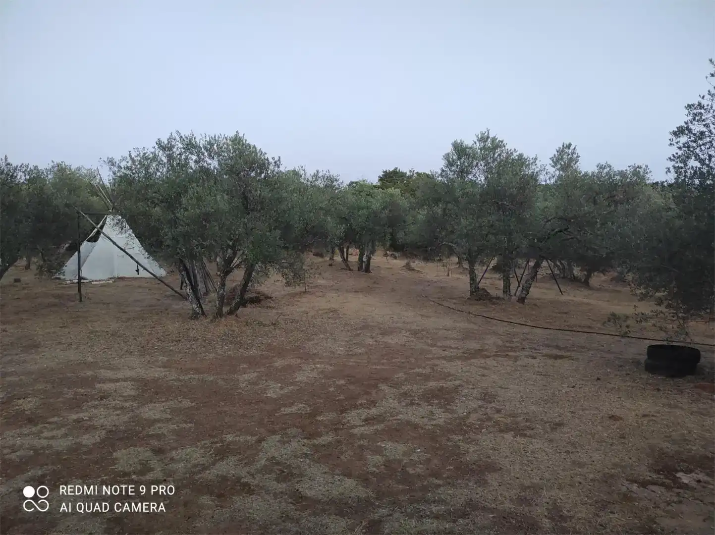 Land for sale in Alanís
