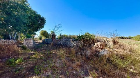 FINCA RÚSTICA CON ENCANTADORA CASA DE PIEDRA EN LLUBÍ, image 2