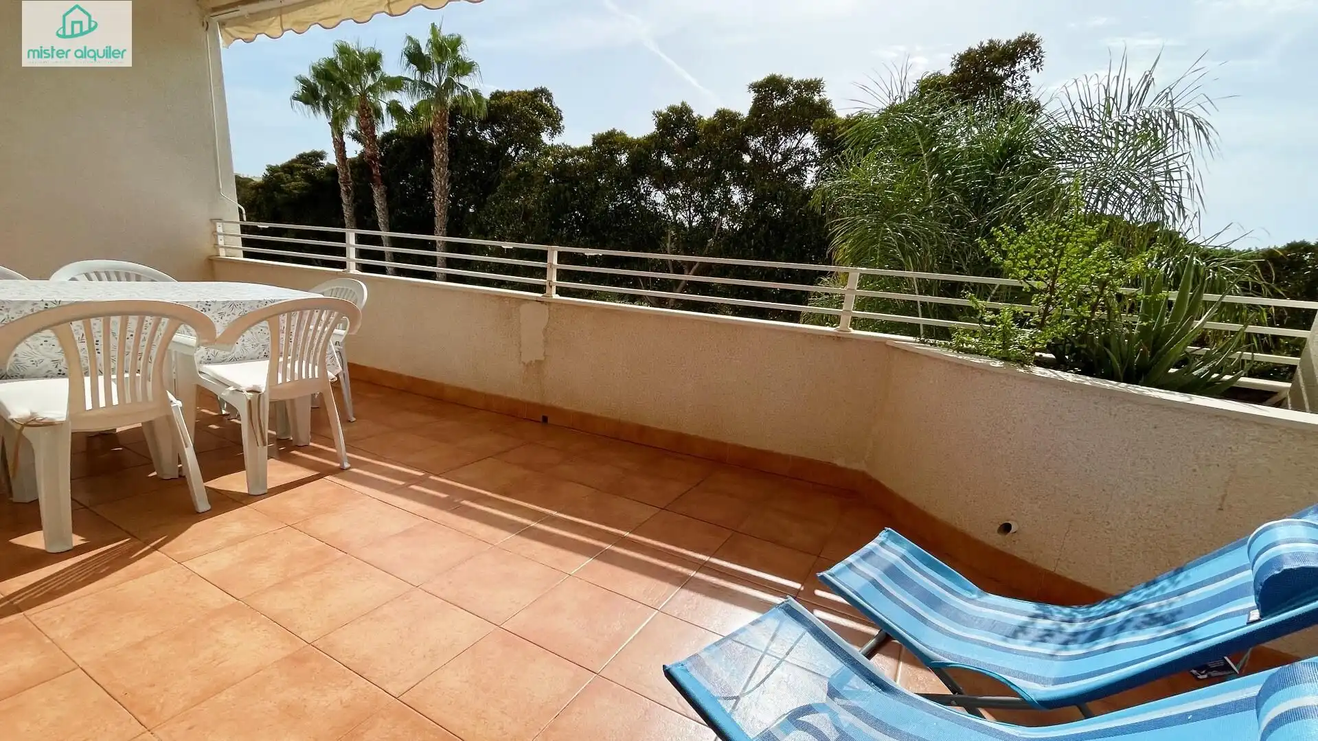 Apartament amb piscina de lloguer a PINTOR FERNANDO SORIA 11, imagen 16