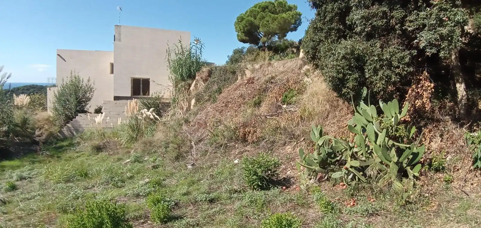 Terrenos y solares en venta en Serra Brava, imagen 6