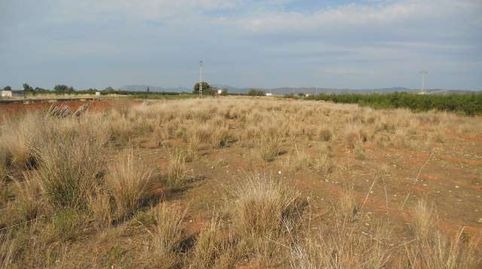 Photo 5 of Land for sale in Ptda Bustalet, Varias Parcelas, Torreblanca, Castellón