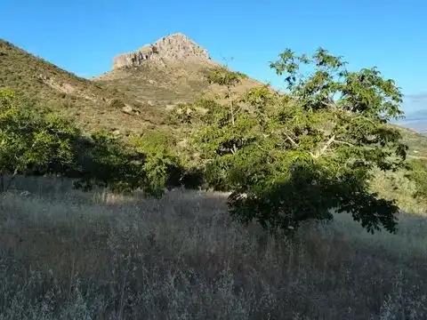 Terreni e lotti in vendita a la fuente de la higuera 22