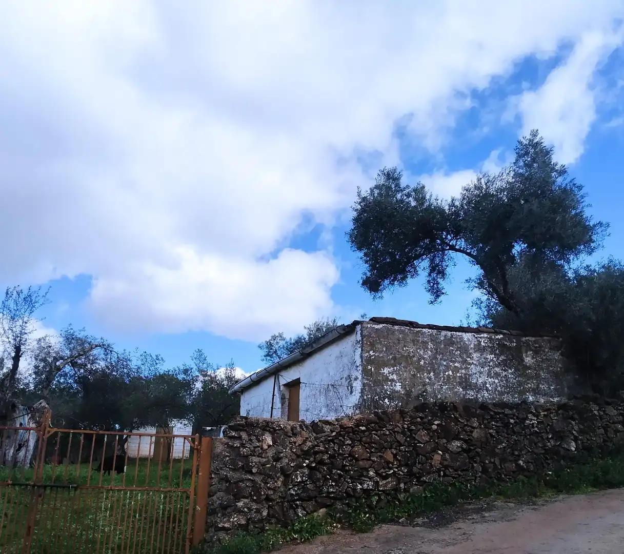 Terreni e lotti in vendita a Jerez de los Caballeros, imagen 31