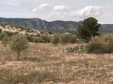 Terreno rustico in vendita a Jumilla