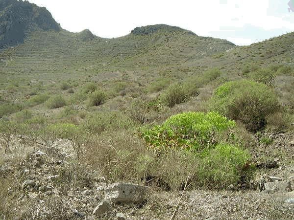 Terreno en venta en Arona