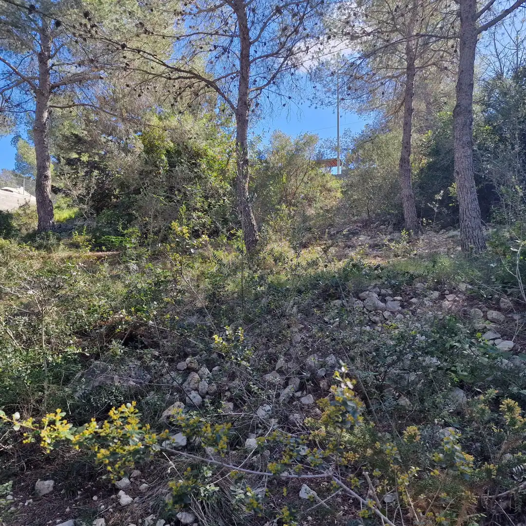 Terreno residencial en venta en Carrer Gessamí 18, imagen 20