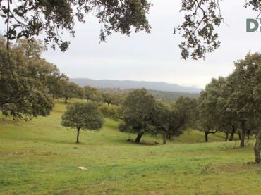 Terrenos y solares en venta en Casco Antiguo