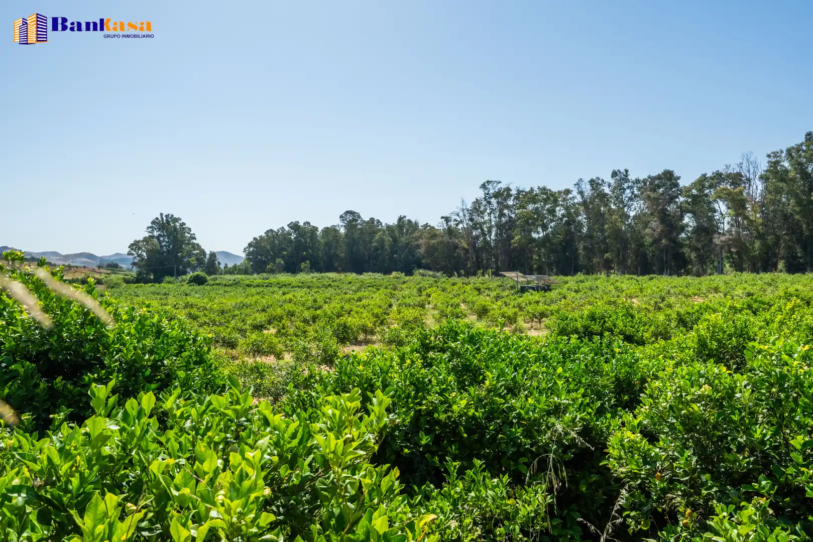 Terreno en venta en Pizarra