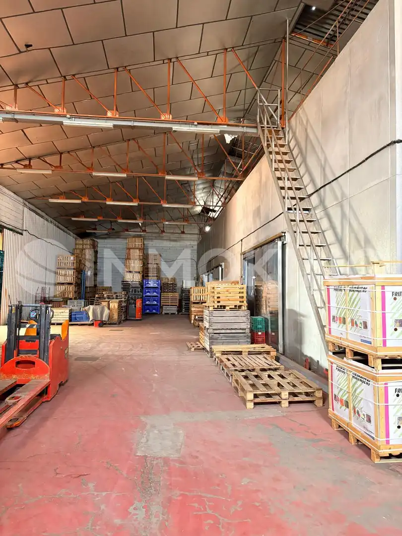 Industriegebäude zum Verkauf in Calle Cedro 6