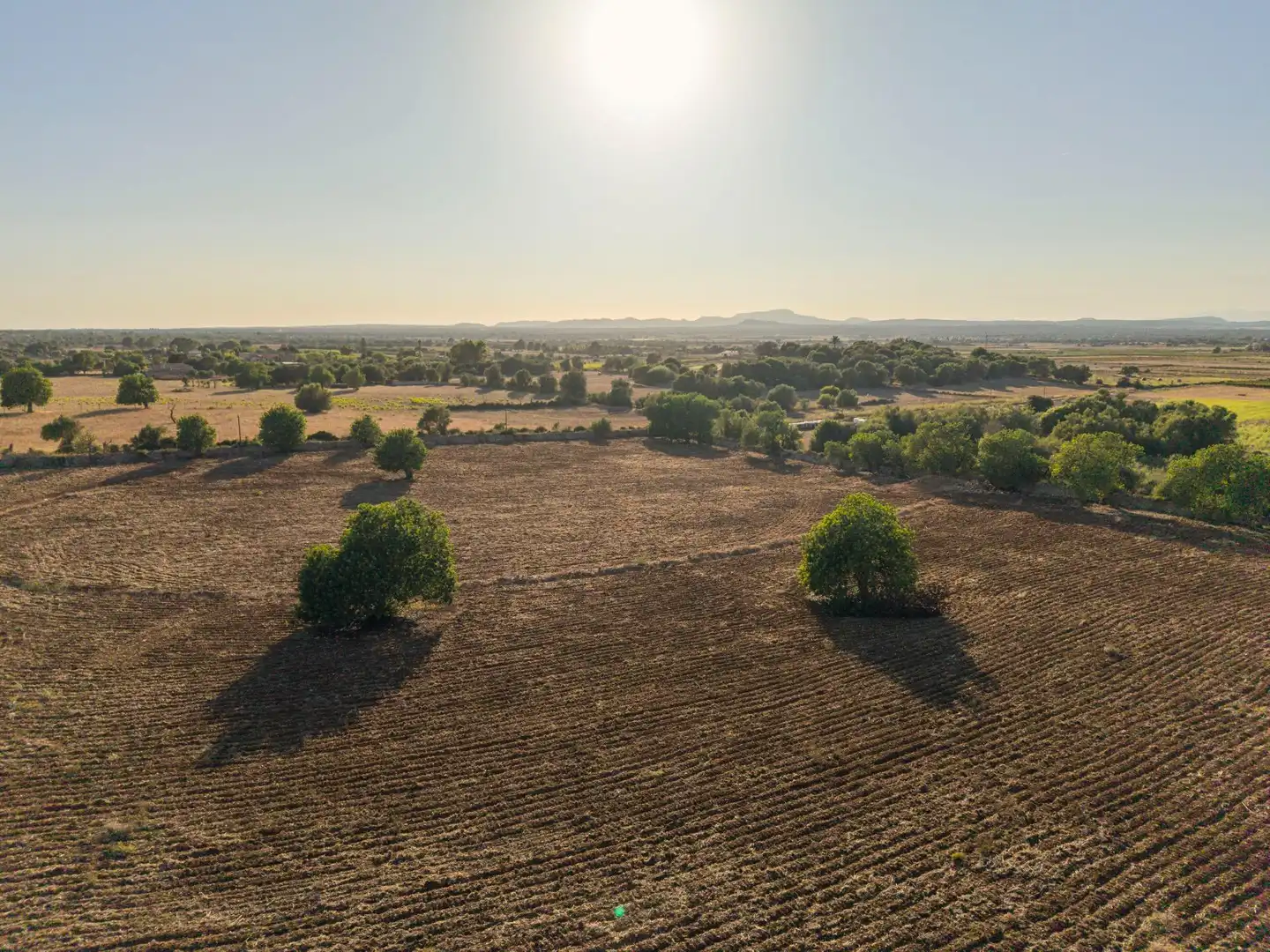 Grundstücke und Bauplätze zum Verkauf in Polígono POLIGONO 24, parcela 1006, imagen 43