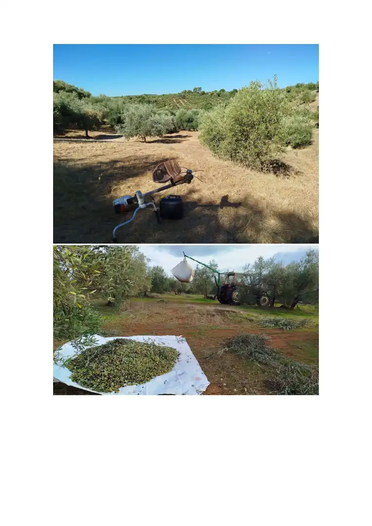 Jardín de Terreno en venta en Hornachuelos