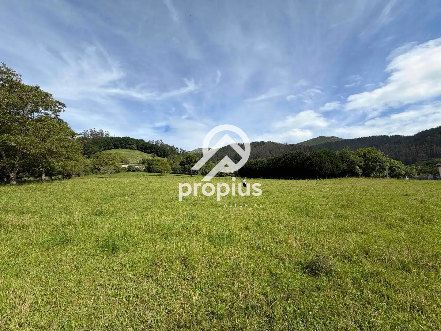 Rural land for sale in Bode, imagen 12