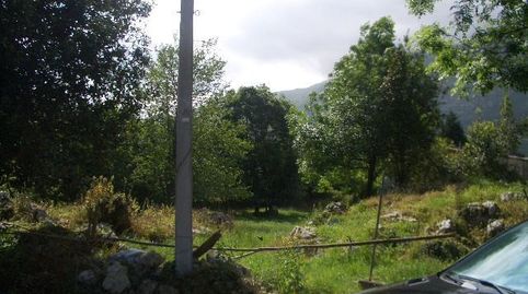 MELUERDA, imatge 3