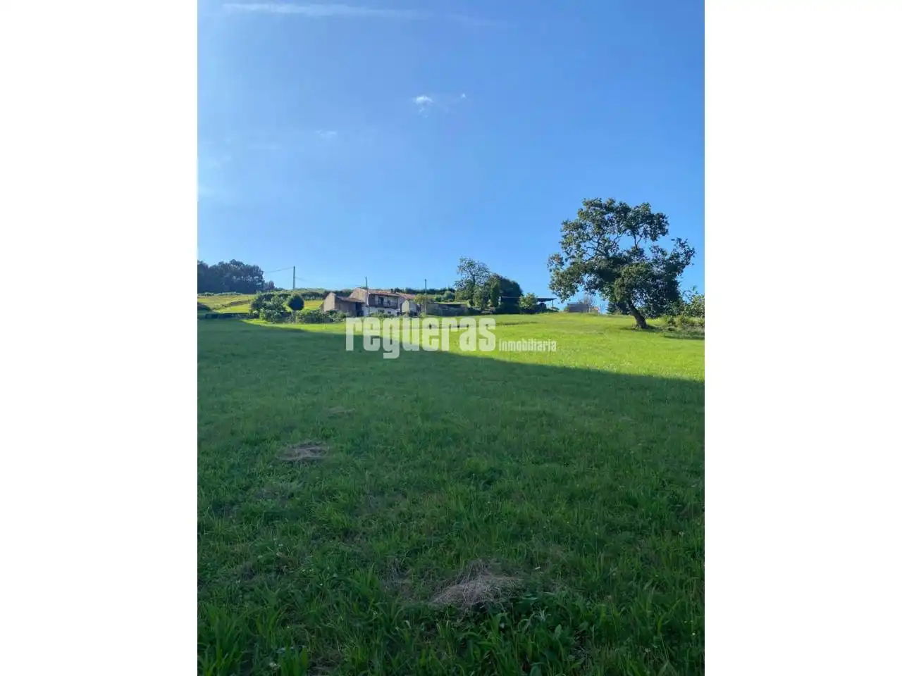 Terrain rustique à vendre à Calle Homeru, imagen 3