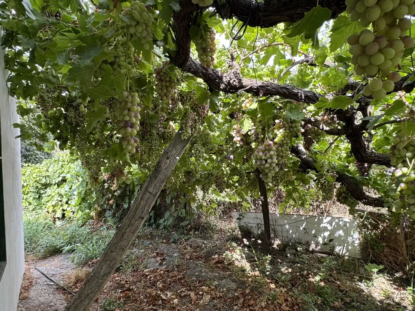 Jardí de Terreny en venda en Ohanes