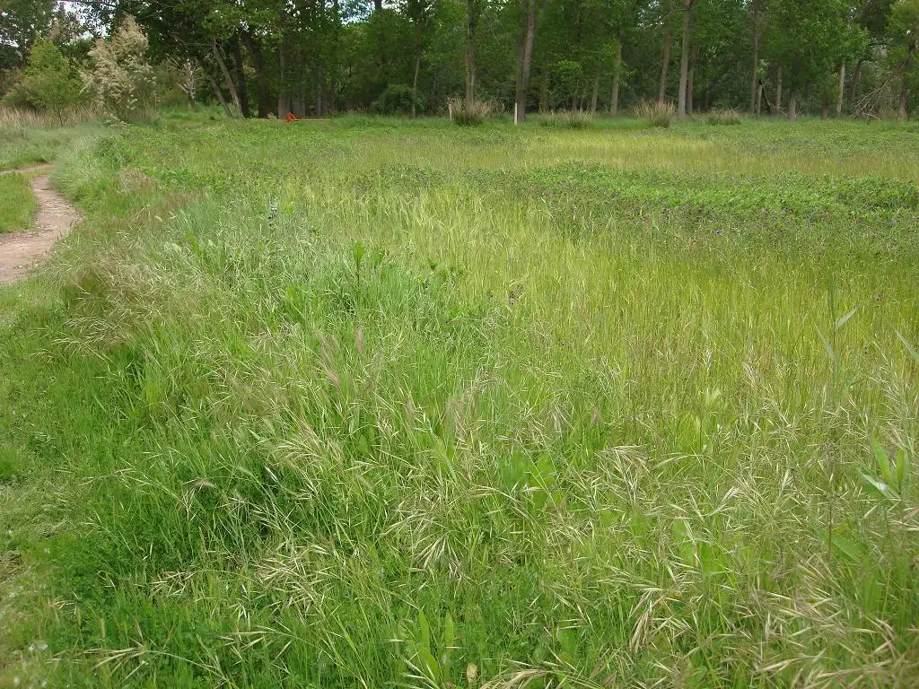 Terreno rústico en venta en Ribafrecha, imagen 3