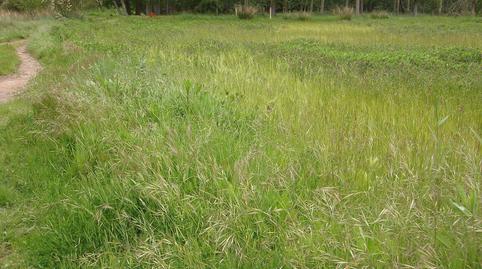 Foto 3 de Terreny en venda a Ribafrecha, La Rioja