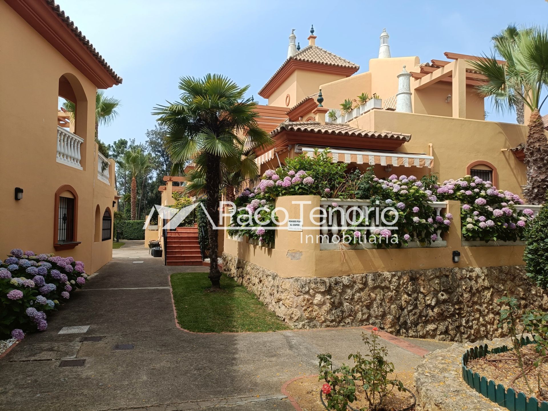 Exterior view of Attic for sale in Islantilla  with Terrace, Furnished and Washing machine