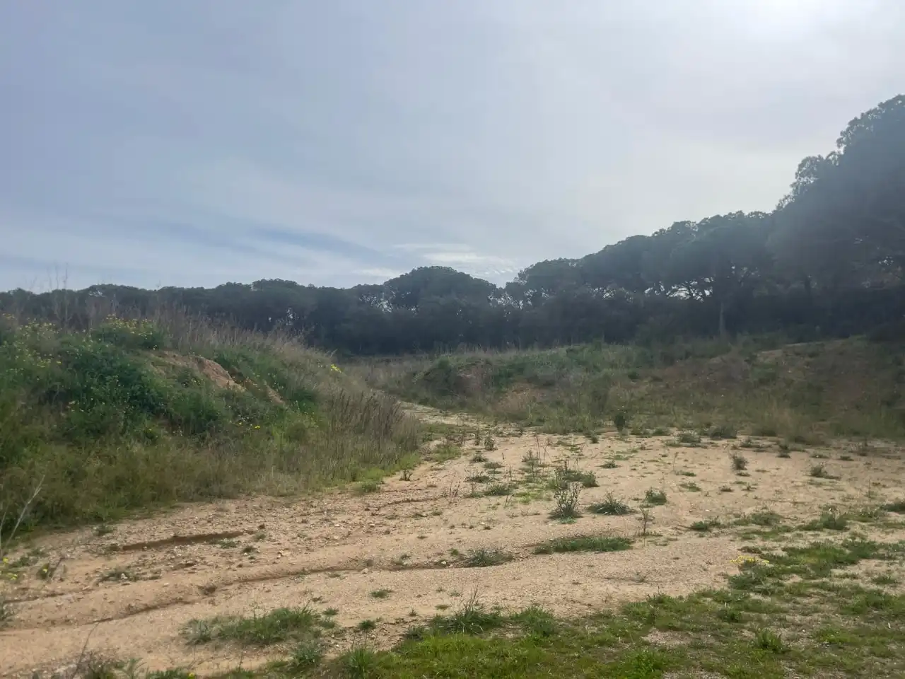 Terreny rústic en venda a Camí de la Portalada, imagen 5