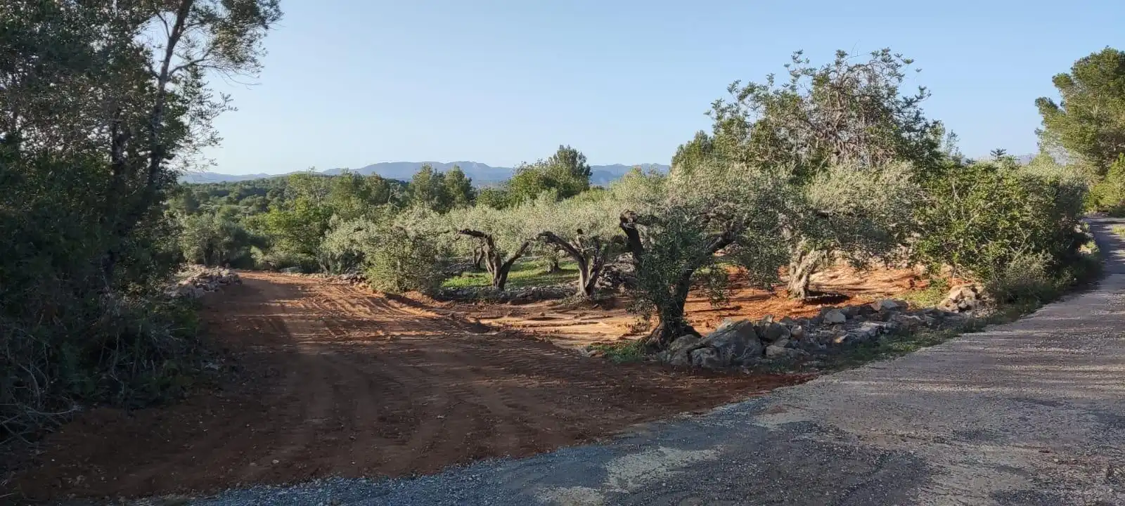 Casa rustica in vendita a L'Ametlla de Mar pueblo, imagen 6