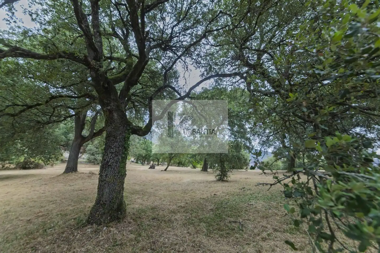Maison jumelée à vendre à Calle Santa María, imagen 56