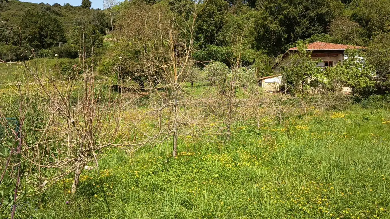 Residential land for sale in CD-1, imagen 4