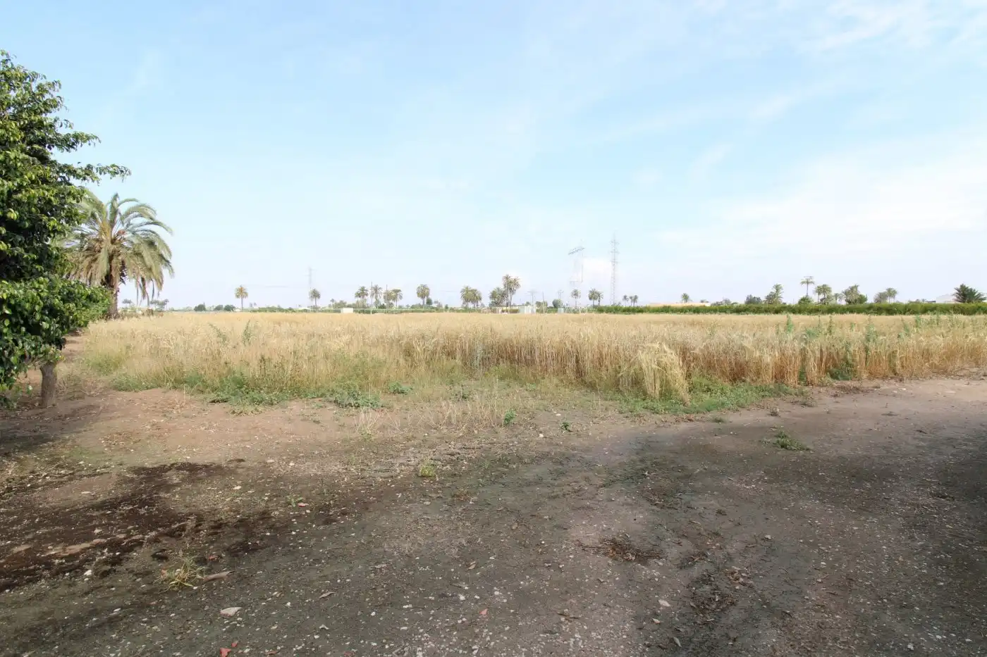 Villa con giardino in vendita a La Foia - Daimés - Asprella, imagen 33