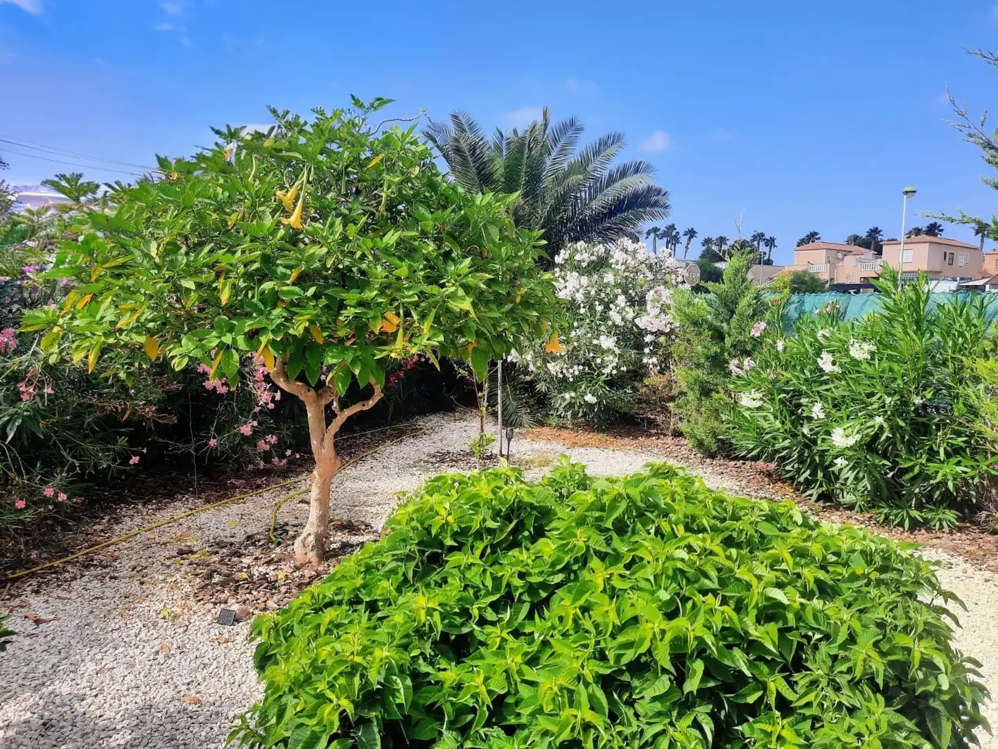 Casa o xalet en venda en Torrevieja amb Aire condicionat, Jardí privat i Terrassa