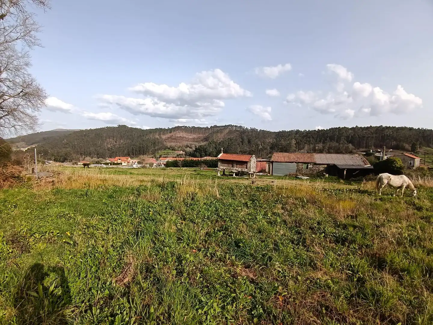 Country homes for sale in Meis