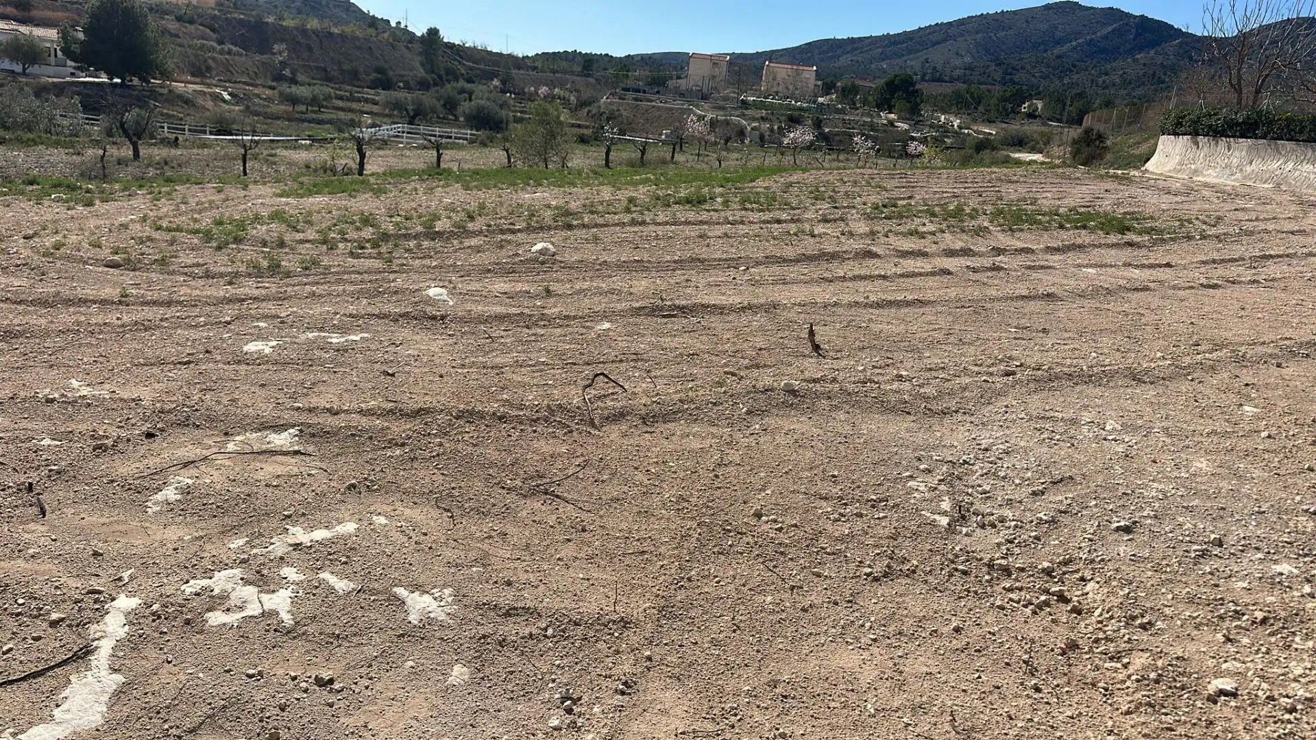 Terreno rustico in vendita a Las Trescientas - San Francisco - Ciudad Vergel, imagen 9