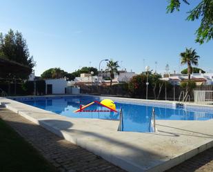 Swimming pool of Flat for sale in Almonte  with Terrace, Furnished and Community pool