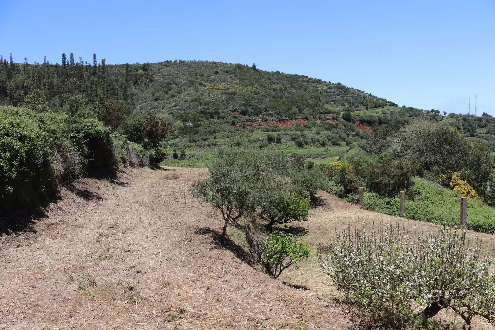Residencial en venta en Los Silos