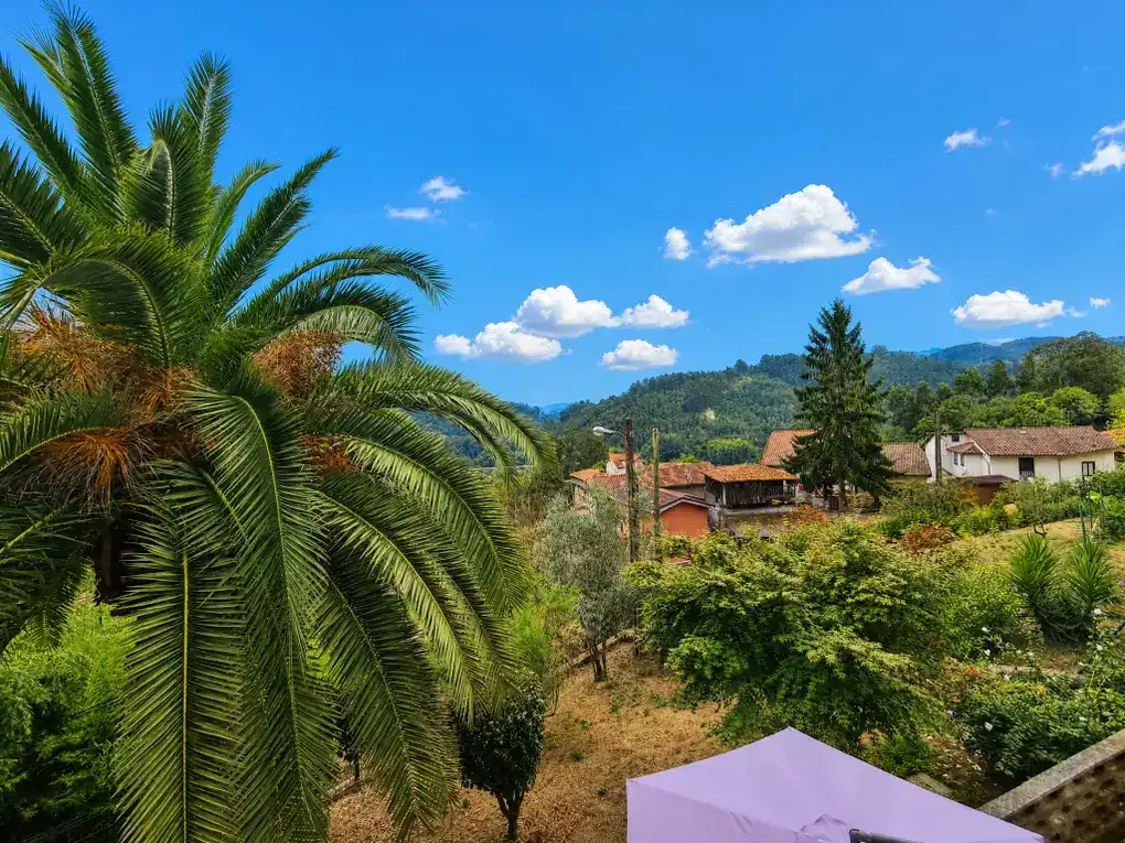 Vista exterior de Casa o chalet en venta en Pravia con Calefacción, Jardín privado y Terraza