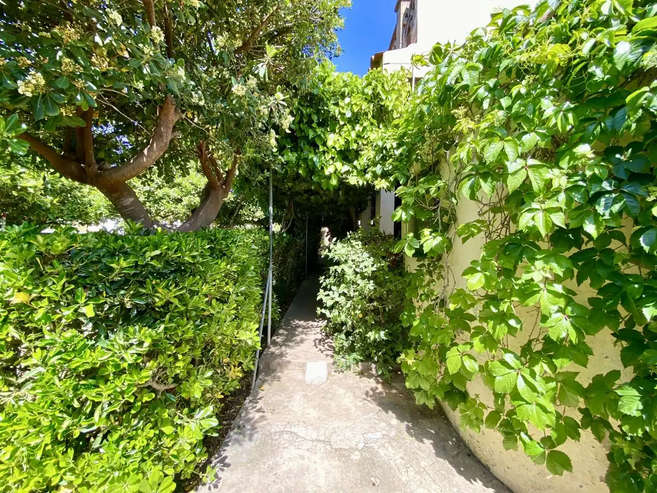 Außenansicht von Haus oder Chalet zum Verkauf in  Palma de Mallorca mit Privatgarten, Terrasse und Abstellraum