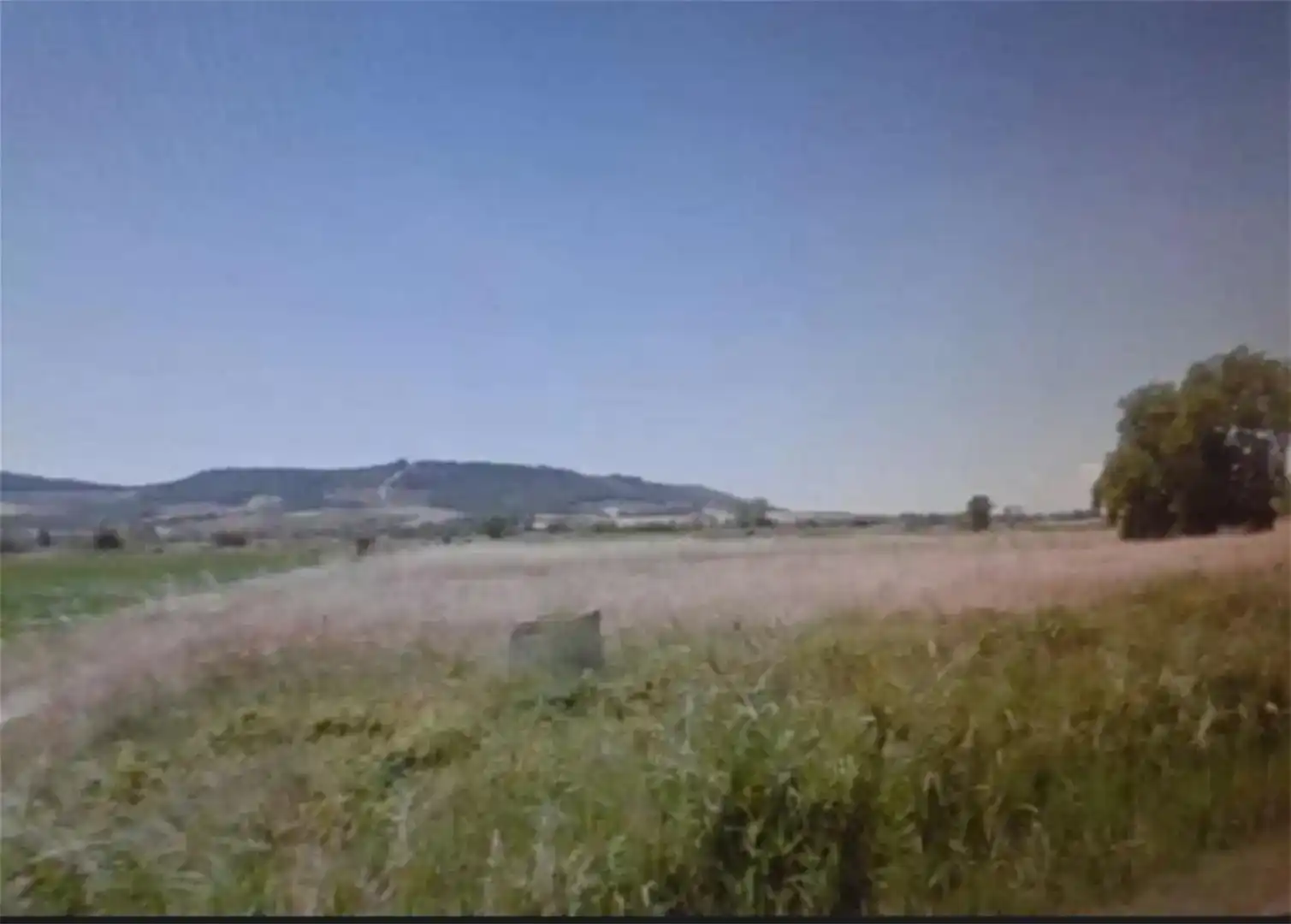 Land for sale in Palencia