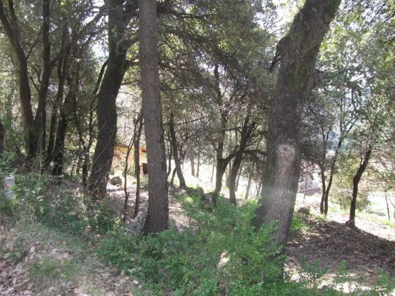 Terreno residenziale in vendita a La Nou de Berguedà, imagen 7
