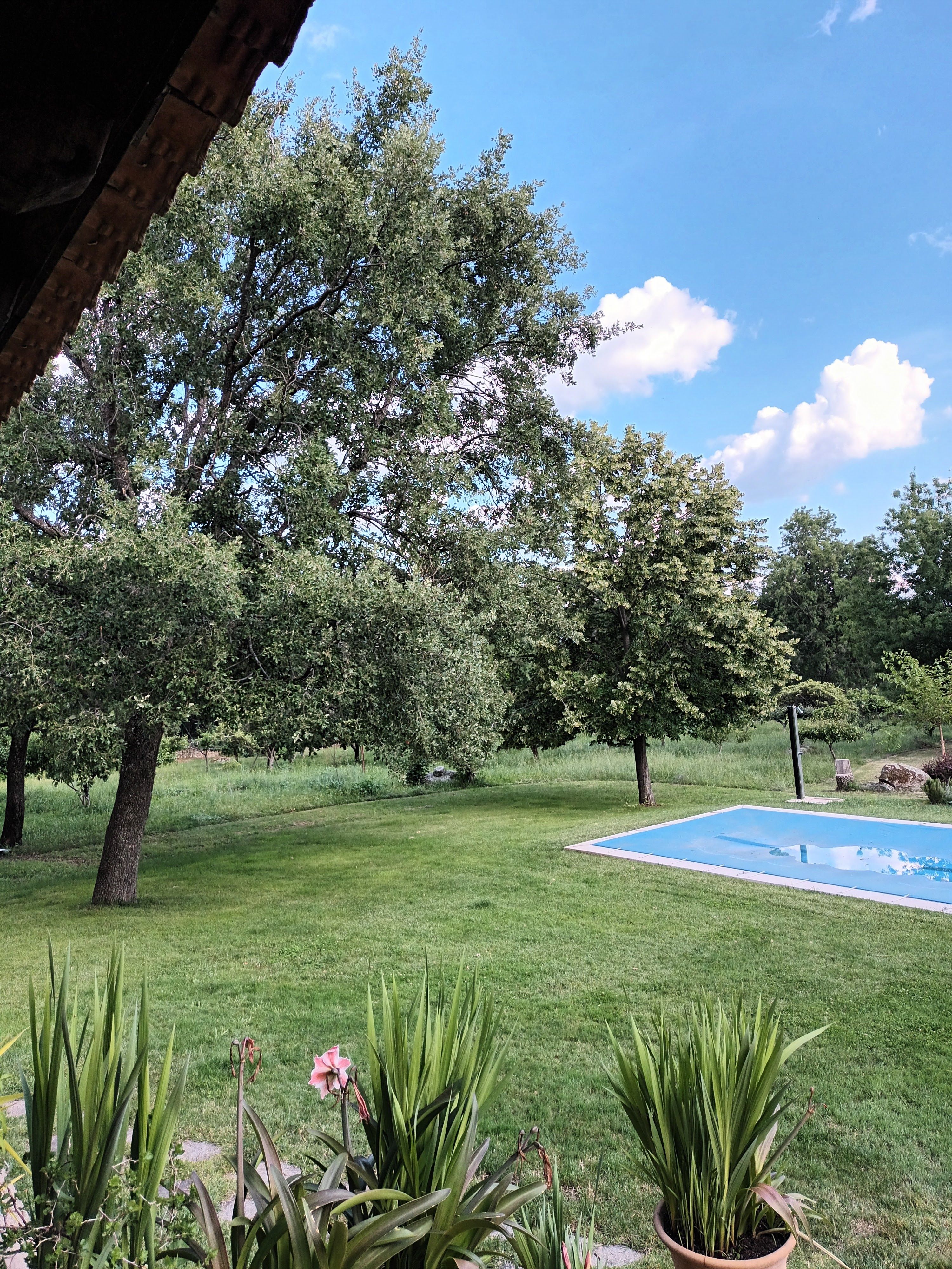 Schwimmbecken von Country house zum verkauf in La Adrada  mit Privatgarten, Terrasse und Schwimmbad