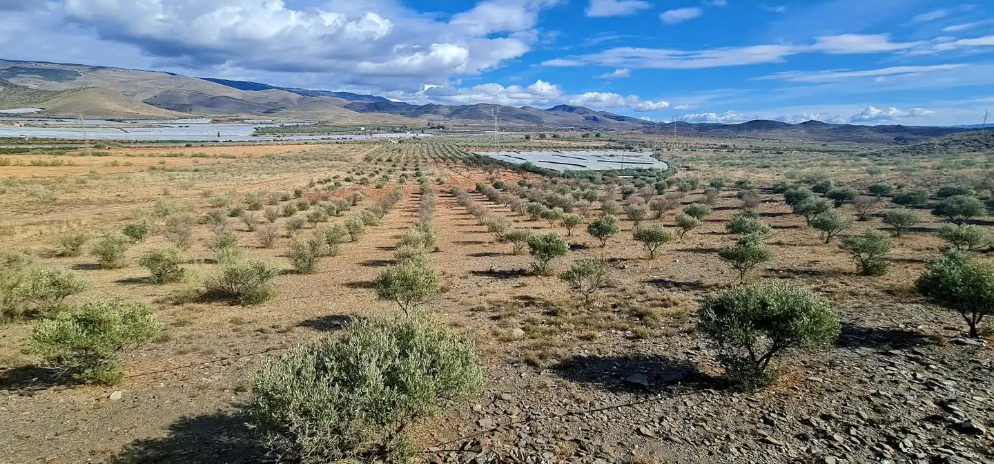 Lands and plots for sale in Campo de Gergal
