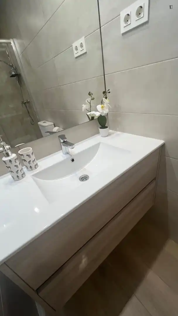 Bany de Apartament de lloguer en Madrid amb Aire condicionat, Calefacció i Moblat