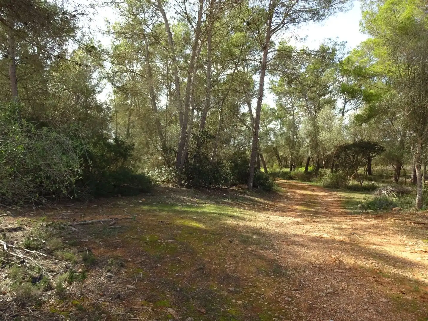 Finca rústica en venta en  Palma de Mallorca