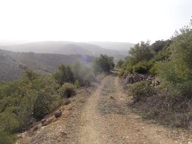 Terreni e lotti in vendita a Huelma, imagen 3