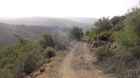Finca Agraria en venta en Huelma (Jaén), immagine 3