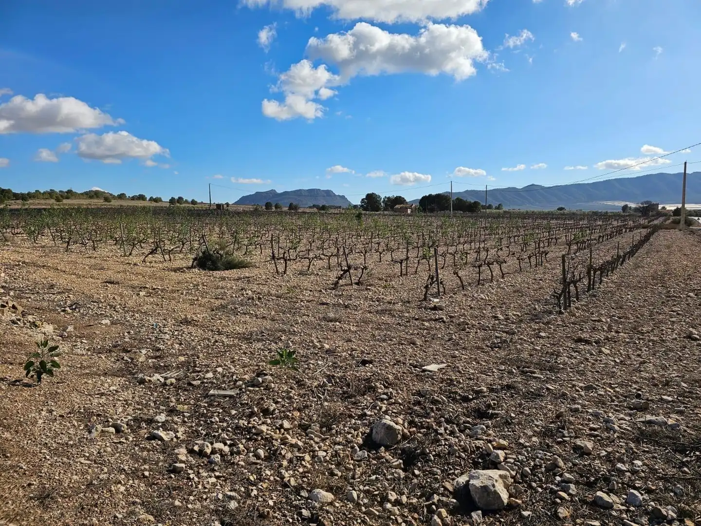 Residencial en venta en Salinas
