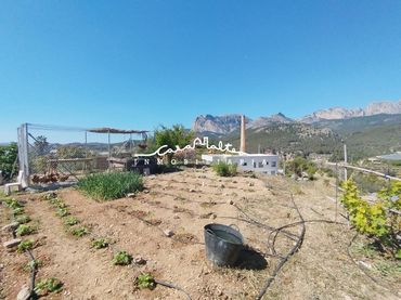 Terreny residencial en venda a Callosa d'en Sarrià