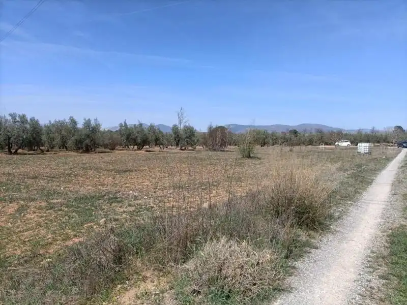 Casa rústica en venda a Polígono LA ZANJA, imagen 8