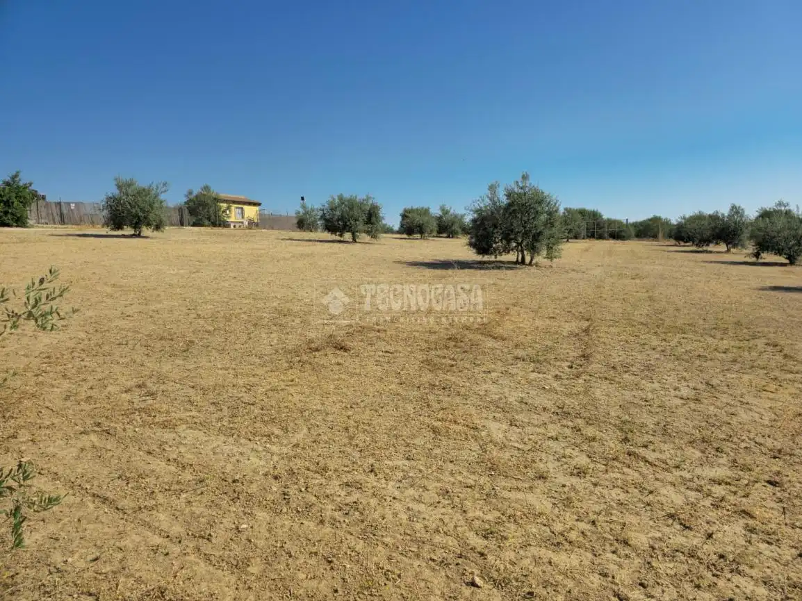Rural land for sale in Arahal, imagen 2