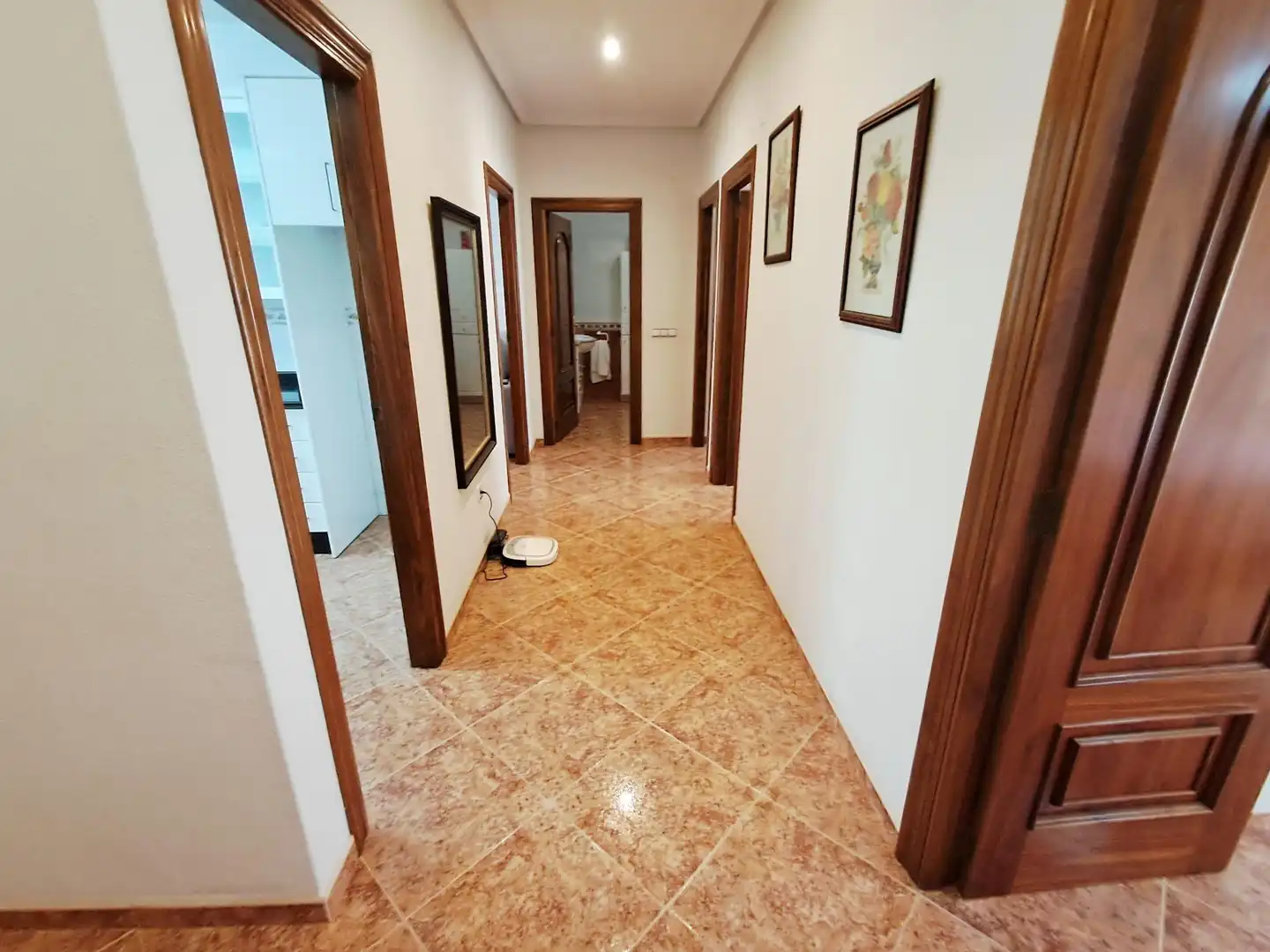 Casa con terrazza in vendita a Pedanías Este, imagen 15